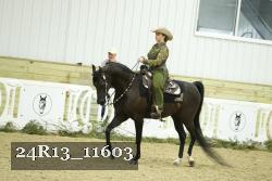 24R13_11603 thumbnail