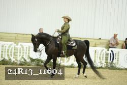 24R13_11604 thumbnail