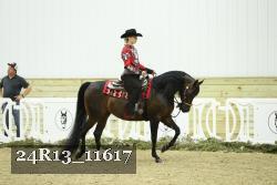 24R13_11617 thumbnail
