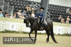 24R13_11657 thumbnail