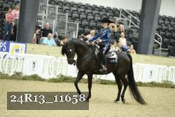 24R13_11658 thumbnail