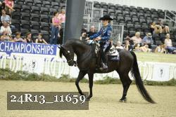 24R13_11659 thumbnail