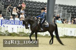 24R13_11660 thumbnail