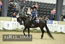 24R13_11661 thumbnail