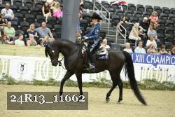 24R13_11662 thumbnail