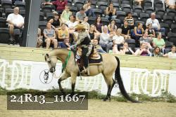 24R13_11667 thumbnail
