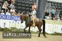 24R13_11669 thumbnail