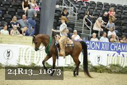 24R13_11673 thumbnail