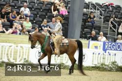 24R13_11676 thumbnail