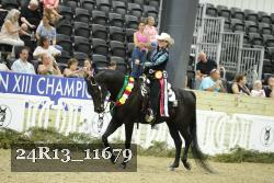 24R13_11679 thumbnail