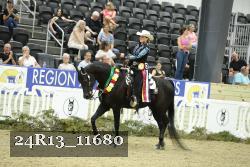 24R13_11680 thumbnail