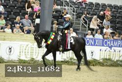 24R13_11682 thumbnail