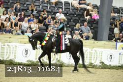 24R13_11684 thumbnail