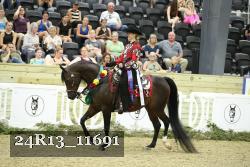 24R13_11691 thumbnail