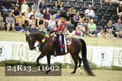 24R13_11692 thumbnail