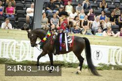 24R13_11694 thumbnail