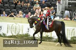 24R13_11697 thumbnail