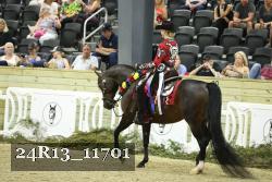 24R13_11701 thumbnail