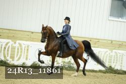 24R13_11861 thumbnail