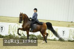 24R13_11862 thumbnail