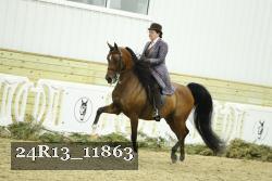 24R13_11863 thumbnail