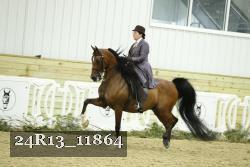 24R13_11864 thumbnail