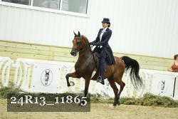 24R13_11865 thumbnail