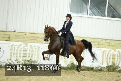 24R13_11866 thumbnail