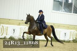 24R13_11868 thumbnail