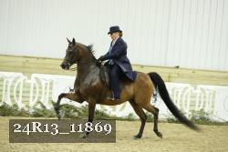 24R13_11869 thumbnail