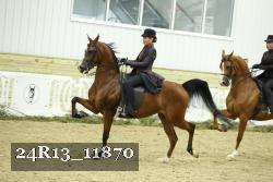 24R13_11870 thumbnail