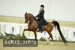 24R13_11872 thumbnail