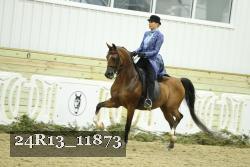 24R13_11873 thumbnail