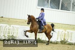24R13_11874 thumbnail