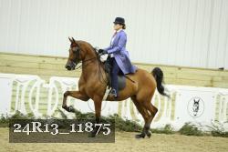 24R13_11875 thumbnail
