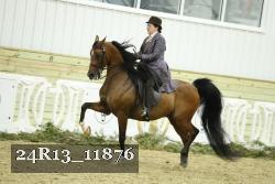 24R13_11876 thumbnail