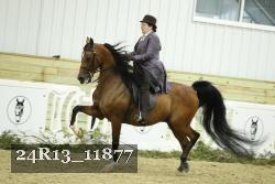 24R13_11877 thumbnail