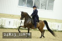 24R13_11878 thumbnail