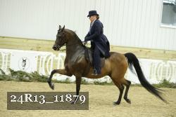 24R13_11879 thumbnail