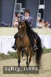 24R13_11882 thumbnail