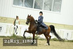 24R13_11883 thumbnail