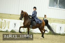 24R13_11884 thumbnail