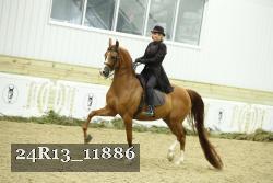24R13_11886 thumbnail