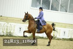 24R13_11890 thumbnail