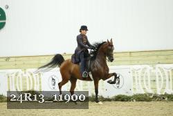 24R13_11900 thumbnail