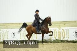 24R13_11901 thumbnail