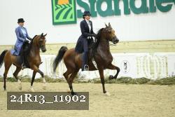 24R13_11902 thumbnail