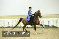 24R13_11905 thumbnail