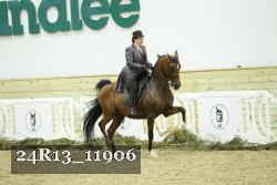 24R13_11906 thumbnail