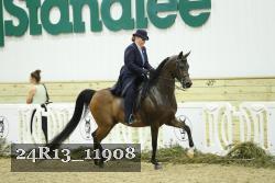 24R13_11908 thumbnail